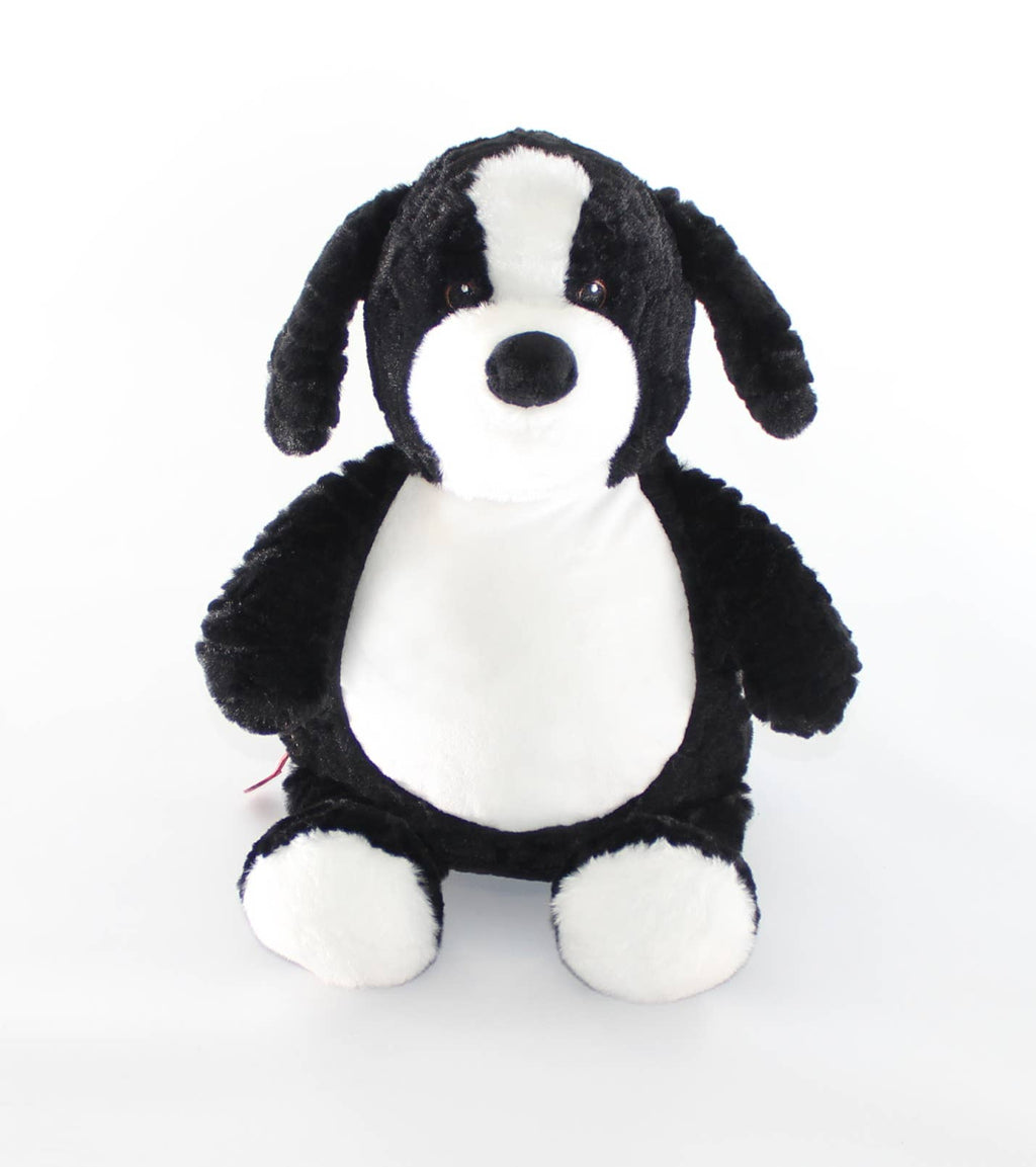 Jelly Bean our Border Collie