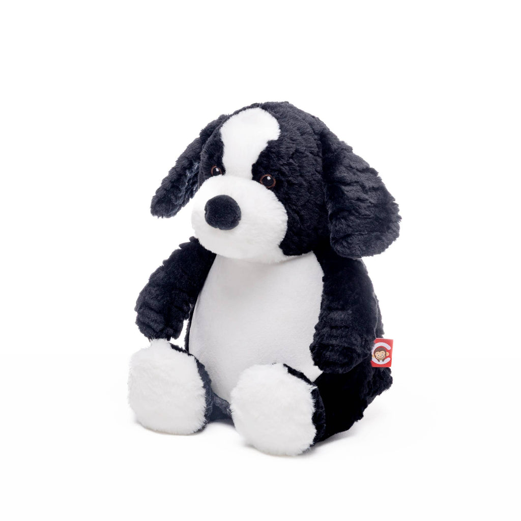 Jelly Bean our Border Collie